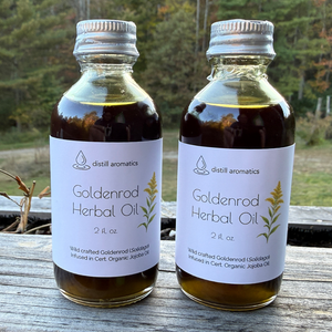 Goldenrod Herbal Oil 2 fl oz