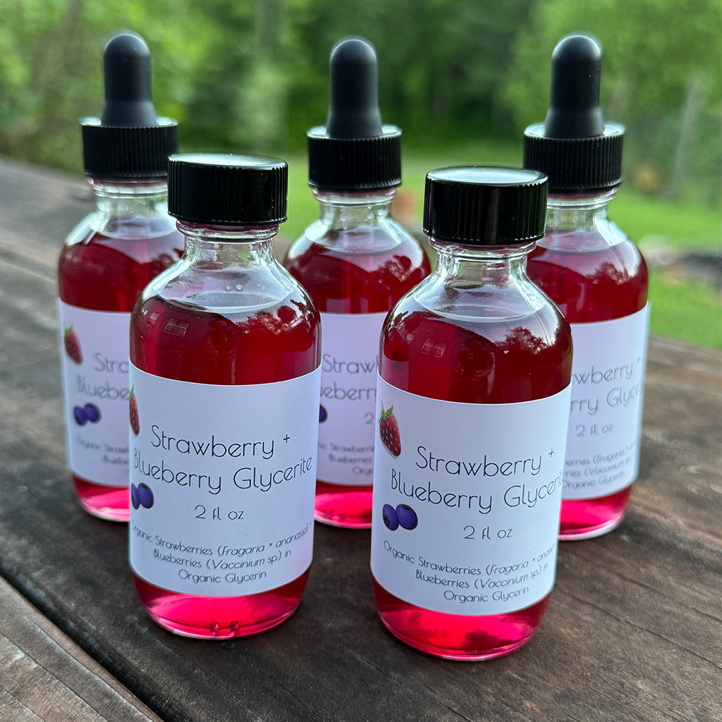 Blueberry + Strawberry Glycerite - 2 fl oz