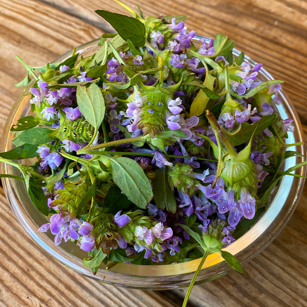Self Heal Herbal Oil