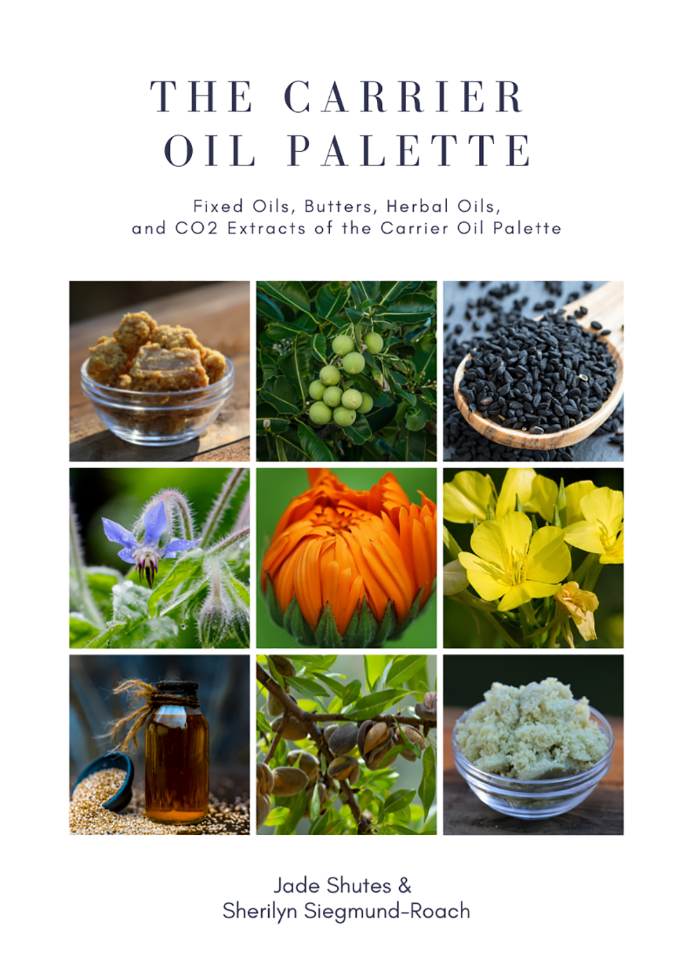 The Carrier Oil Palette - A4 digital download