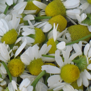 Chamomile Herbal Oil